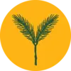 Yellowspruceroasters.net Logo