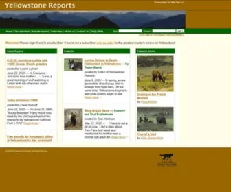 Yellowstonereports.com(Yellowstone Reports) Screenshot