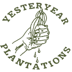 Yesteryearplantations.com.au Logo