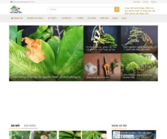 Yeucaycanh.com(Website cây cảnh/ bonsai) Screenshot