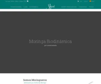 Yguamoringa.com(Ygua Moringa Oleifera) Screenshot