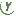 Yify.ws Logo