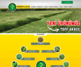 Yigittohumculuk.com.tr(Yiğit Tohumculuk) Screenshot