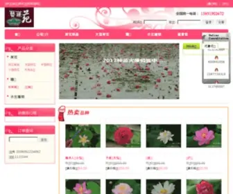 Yileen.com.cn(荷花) Screenshot