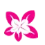 Yinghua12.com Favicon