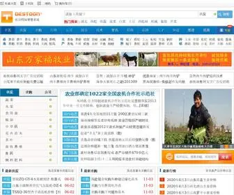 Yingsum.com.cn(畜牧养殖资讯网) Screenshot