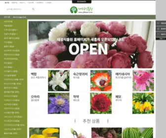 YJflower.co.kr(태광식물원에) Screenshot