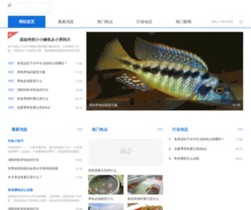 Ykluzhou.com(雅克鱼网) Screenshot