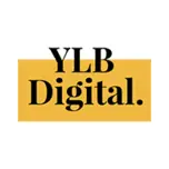 YLbdigital.fr Favicon