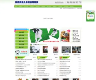 Ynainiduo.com(爱心贝贝宠物医院) Screenshot