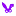 YNgleaks.pw Logo
