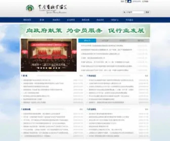 Ynmining.com(矿产资源信息网) Screenshot
