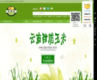 YNshijian.com(褚橙网) Screenshot