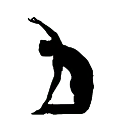 Yogashashin.ch Favicon