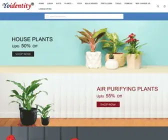 Yoidentity.com(Buy Plants Online) Screenshot