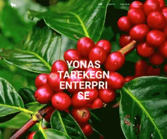 Yonasenterprise.com(Yonas Tarekegn Enterprise) Screenshot