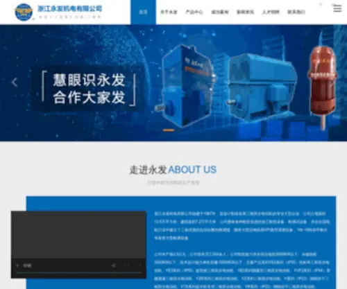 Yongfamotor.com.cn(浙江永发机电有限公司) Screenshot