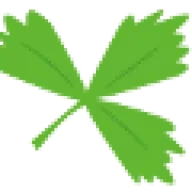 Yonggreenfood.com.au Favicon