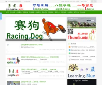 Yongzhe.win(勇者.胜) Screenshot