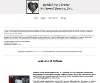 Yorkierescue.com(Yorkshire Terrier National Rescue) Screenshot