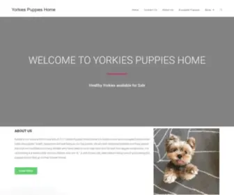 Yorkiespuppieshome.com(Your trusted Yorkies Breeder) Screenshot