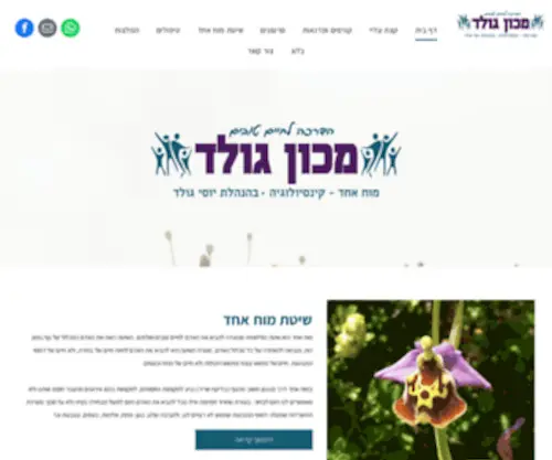 Yossigold.co.il(מכון גולד) Screenshot