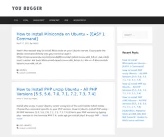 Youbugger.com(Tech Blog) Screenshot