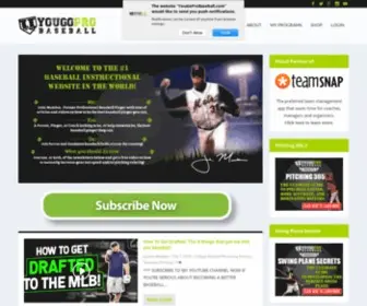 Yougoprobaseball.com(You Go Pro Baseball) Screenshot