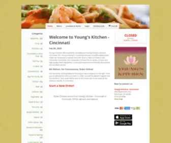 Youngskitchenoh.com(Cincinnati chinese delivery) Screenshot