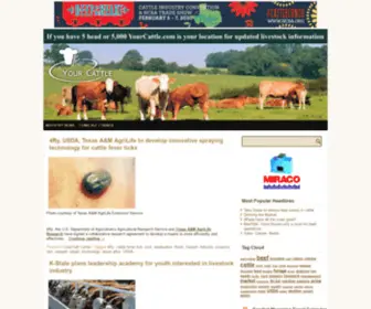 Yourcattle.com(Yourcattle) Screenshot