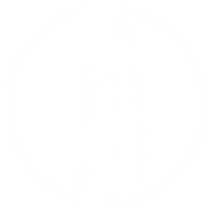 Yourchiropractorsandiego.com Favicon