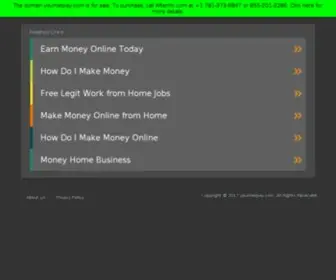 Yournetpay.com(Find Cash Advance) Screenshot