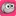 Yourpetbrain.com Favicon