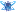 Yoursofter.com Favicon