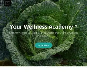 Yourwellnessacademy.io(Your Wellness Academy) Screenshot