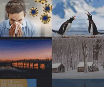 Youwall.com(Www) Screenshot