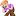 Yoyomagnet.com Favicon