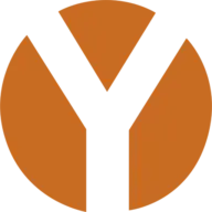 Ypsilonlicensing.com Favicon