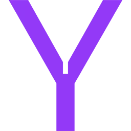 YSG.studio Favicon