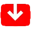 YT1S.xyz Favicon