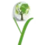 Yugaorganic.com Favicon