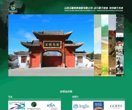 Yulonghorse.com.cn Screenshot
