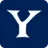 Yupav.com Favicon