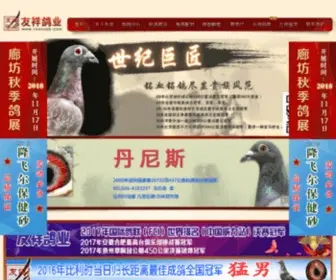 Yxxinge.com(友祥信鸽文化有限公司) Screenshot