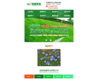 YYLVsheng.com(淘宝网) Screenshot