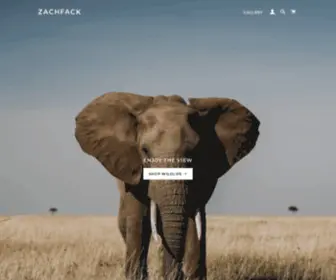 Zachfack.com(zachfack) Screenshot