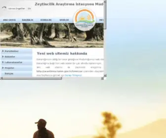 Zae.gov.tr(Zae) Screenshot