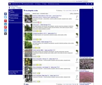 Zahrada-SK.com(Záhradnícky portál) Screenshot