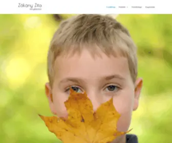 Zakanyzita.hu(Kezdőlap) Screenshot