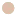 Zakicuisine.com Favicon